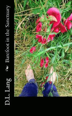 D. L. Lang - Barefoot in the Sanctuary, Häftad
