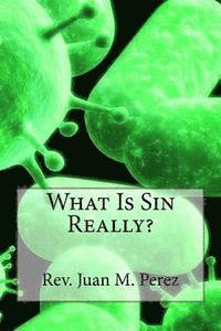 bokomslag What Is Sin Really?