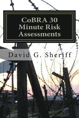 bokomslag CoBRA 30 Minute Risk Assessments: Control Bases Risk Analysis