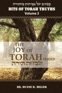 bokomslag Bits of Torah Truths, Volume 3, The Joy of Torah