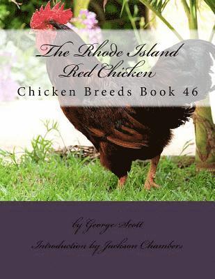 The Rhode Island Red Chicken: Chicken Breeds Book 46 1