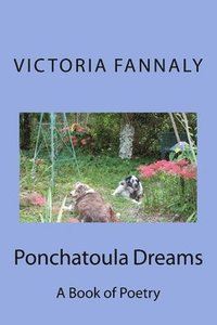 bokomslag Ponchatoula Dreams: A Book of Poetry