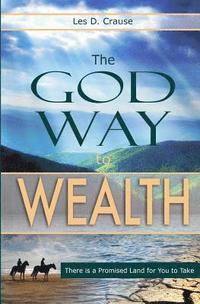 bokomslag The God Way to Wealth: Identifying Your Business Calling