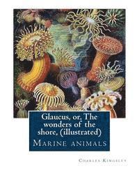 bokomslag Glaucus, or, The wonders of the shore, By Charles Kingsley (illustrated): Marine animals