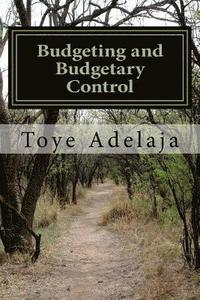 bokomslag Budgeting and Budgetary Control