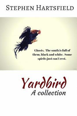 bokomslag Yardbird: A Collection