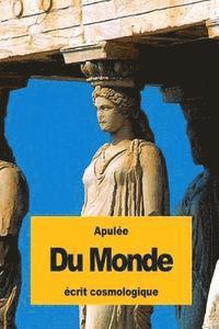bokomslag Du Monde