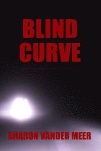 bokomslag Blind Curve