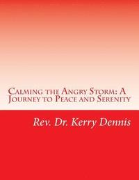 bokomslag Calming the Angry Storm: A Journey to Peace and Serenity