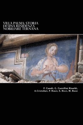 bokomslag Villa Palma: Storia di una residenza nobiliare ternana: Atti del Convegno 'SalviAmo Villa Palma' tenutosi a Palazzo Gazzoli il 15 dicembre 2012