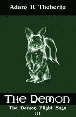 bokomslag Demon