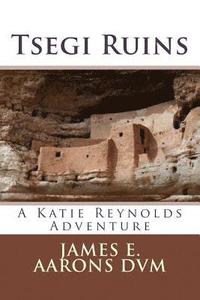 bokomslag Tsegi Ruins: A Katie Reynolds Adventure