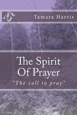 bokomslag The Spirit Of Prayer: Purpose in your prayers