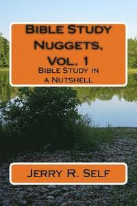 bokomslag Bible Study Nuggets, Vol. 1: Bible Study in a Nutshell