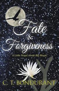 bokomslag Fate & Forgiveness: A Little Novel About Big Magic