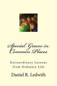 bokomslag Special Graces in Common Places: Extraordinary Lessons from Ordinary Life
