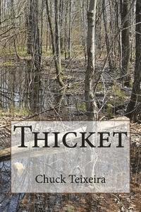 bokomslag Thicket