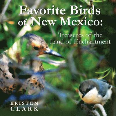 Favorite Birds of New Mexico: Treasures of the Land of Enchantment 1