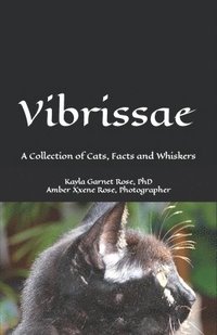 bokomslag Vibrissae
