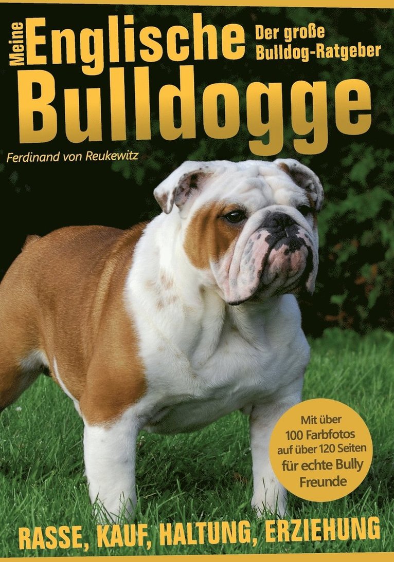 Meine Englische Bulldogge - Der grosse Bulldog-Ratgeber 1