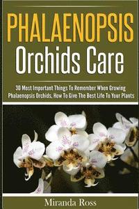 bokomslag Phalaenopsis Orchids Care: 30 Most Important Things To Remember When Growing Phalaenopsis Orchids