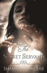 bokomslag The Secret Servant