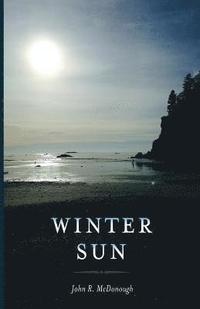 bokomslag Winter Sun