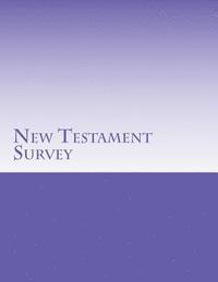 bokomslag New Testament Survey