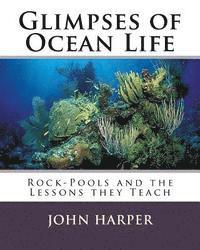bokomslag Glimpses of Ocean Life: Rock-Pools and the Lessons they Teach
