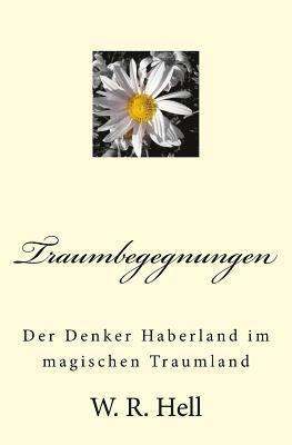 bokomslag Traumbegegnungen: Der Denker Haberland im magischen Traumland