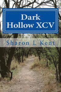 bokomslag Dark Hollow XCV