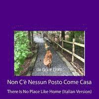 bokomslag Non C'è Nessun Posto Come Casa: There Is No Place Like Home (Italian Version)