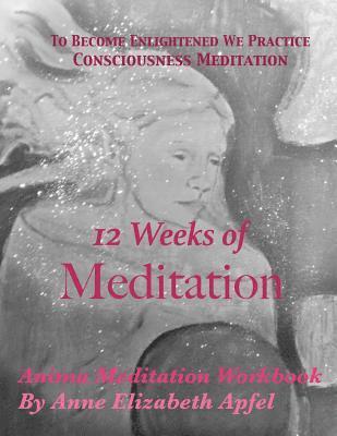 bokomslag 12 Weeks of Meditation: Anima Meditation Workbook