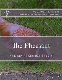 bokomslag The Pheasant: Raising Pheasants Book 6