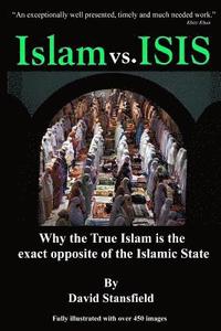 bokomslag Islam vs. ISIS