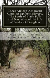 Frederick Douglass, Booker T. Washington - Three African- American Classics: Up from Slavery, The Souls of Black Folk and Narrative of the Life of Frederick Douglass, Häftad