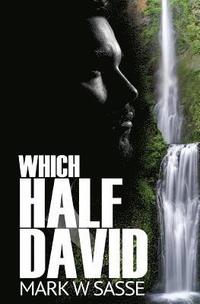 bokomslag Which Half David: A Modern-day King David Story