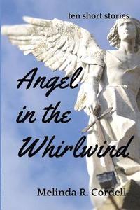 bokomslag Angel in the Whirlwind