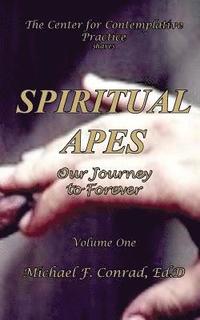 bokomslag Spiritual Apes: Our Journey to Forever