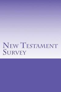 bokomslag New Testament Survey