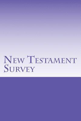 bokomslag New Testament Survey