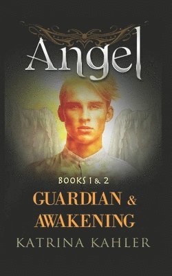 ANGEL - Books 1 and 2 1