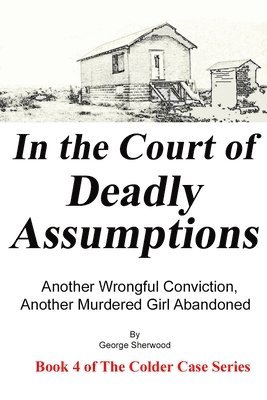 bokomslag In the Court of Deadly Assumptions: Another Wrongful Conviction, Another Murdered Girl Abandoned