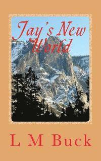 LM Buck - Jay's New World, Häftad
