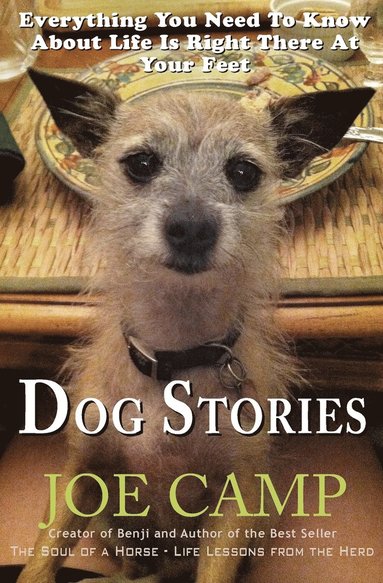 bokomslag Dog Stories