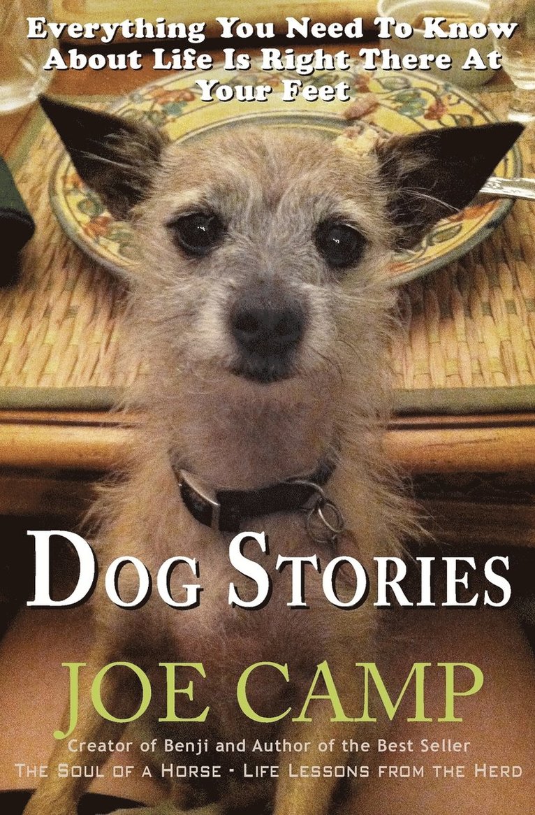 Dog Stories 1