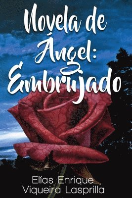 bokomslag Novela de Angel: Embrujado