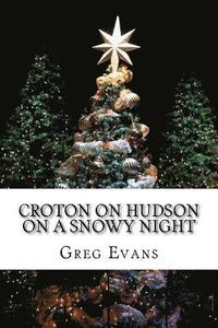 bokomslag Croton On Hudson On A Snowy Night: Poems