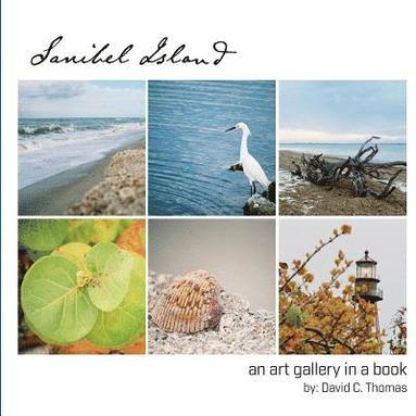 bokomslag Sanibel Island: An Art Gallery in a Book