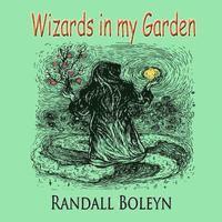 bokomslag Wizards in my Garden